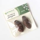 Semente De Puxuri desidratada (15g)