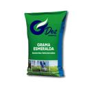 Semente Grama Esmeralda 100G Para 100M²