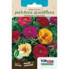Semente Portulaca Grandiflora Dobrada Sortida F030 Topseed