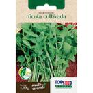 Semente Rúcula Cultivada H092 Topseed