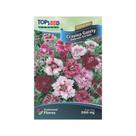 Semente Top Seed Flor Cravina Semente Top Seed Flor Cravina