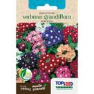 Semente Verbena Grandiflora Sortida F044 Topseed