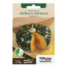 Sementes Abóbora Bahiana Tropical TOPSEED