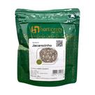 Sementes Abóbora Jacarezinho 100g Alta Produtividade Horticeres