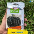 Sementes Abóbora Tetsukabuto F1 Isla 50g Kit 2 un