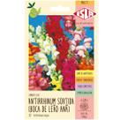 Sementes Antirrhinum Boca-de-Leão Anã (Sortida) ISLA Sementes Antirrhinum Boca-de-Leão Anã (Sortida) ISLA