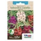 Sementes Balsamina Camélia (Sortida) TOPSEED Sementes Balsamina Camélia (Sortida) TOPSEED
