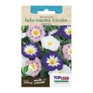 Sementes Bela Manhã Tricolor (Sortida) TOPSEED