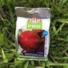 Sementes Beterraba Maravilha Isla 100g Kit 4 un