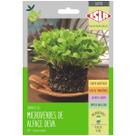 Sementes Brotos Microverdes de Alface Deva Super ISLA