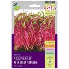 Sementes Brotos Microverdes de Beterraba Shankar Super ISLA