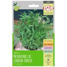 Sementes Brotos Microverdes de Cenoura (4g) Super ISLA