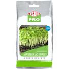 Sementes Brotos Microverdes de Manjericão Shanti (100g) ISLA