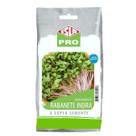 Sementes Brotos Microverdes de Rabanete Indra (100g) ISLA