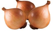 Sementes Cebola Baia Herval 100 g - Fazfertil - Fazfértil