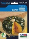 Sementes de Abóbora Bahiana Tropical 10g - Topseed Blue Line - Topseed Garden
