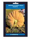 Sementes de Abóbora Gigante Dills Atlantic Guinnes 100 unidades