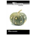Sementes de Abóbora Jacarezinho (Casca Grossa) FELTRIN