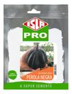 Sementes de Abobora Perola Negra Mini Cartela C/ 20 Sementes