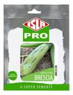Sementes de Abobrinha Brescia Hibrida Cartela C/ 50 Sementes Sementes de Abobrinha Brescia Hibrida Cartela C/ 50 Sementes