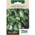 Sementes de Agrião de Água (Folha Larga) TOPSEED Sementes de Agrião de Água (Folha Larga) TOPSEED