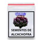 Sementes de Alcachofra Roxa Da Romanha 100 unidades