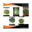 Sementes de Alface Crespa, Almeirão Pão e Açucar, Chicória, Couve Manteiga e Rúcula- Kit Salada 5 unidades (envelopes)