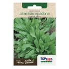 Sementes de Almeirão Spadona (Folha Fina) TOPSEED Sementes de Almeirão Spadona (Folha Fina) TOPSEED