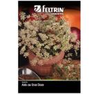 Sementes de Anis/Erva Doce FELTRIN
