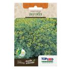 Sementes De Arruda Tradicional 250mg