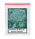 Sementes De Brócolis Ramoso Santana 100 unidades