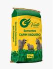 Sementes De Capim Vaquero - Pacote Com 3 Kg