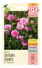 Sementes de Centaurea Serenata Env c/ 300mg de Sementes Sementes de Centaurea Serenata Env c/ 300mg de Sementes