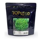 Sementes De Chicória Escarola Leona 2.000 Sementes Topseed