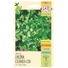 Sementes de Chicória Escarola Lisa ISLA Sementes de Chicória Escarola Lisa ISLA