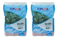 Sementes De Coentro Verdão 500g Plantio Topseed (2 Unidades)