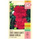 Sementes de Cravo Chabaud Gigante Dobrado (Vermelho) ISLA