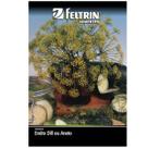 Sementes de Endro/Dill ou Aneto FELTRIN