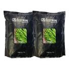 Sementes de Feijão Carioca Dynamo Feltrin 2kg - com Alto Rendimento e Vigor