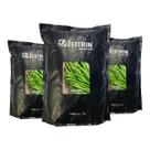 Sementes de Feijão Carioca Dynamo Feltrin 3kg - com Alto Rendimento e Vigor