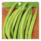 Sementes de Feijão Vagem Macarrao Trepador (Favorito)10gr