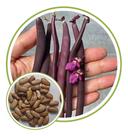 Sementes de Feijão Vagem Trepador Xapecó 250G