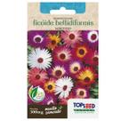 Sementes de Ficóide Bellidiformis (Sortida) TOPSEED