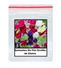 Sementes De Flor Ervilha de Cheiro 12 unidades