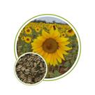Sementes de Girassol Multisol 100g