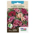 Sementes De Godetia Azáleia Sortida Tradicional 200mg Sementes De Godetia Azáleia Sortida Tradicional 200mg