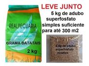 Sementes De Grama Batatais 2 Kg + 5kg De Adubo