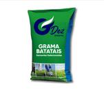 Sementes de Grama Batatais 5 kg para jardim e campo de futebol