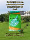 Sementes de Grama Pensacola de 5 kg