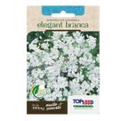 Sementes De Gypsofila Elegant Branca Tradicional 300mg
